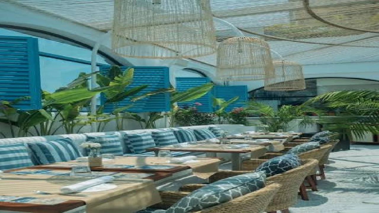 Olive Cafe & Bar: Kolkata